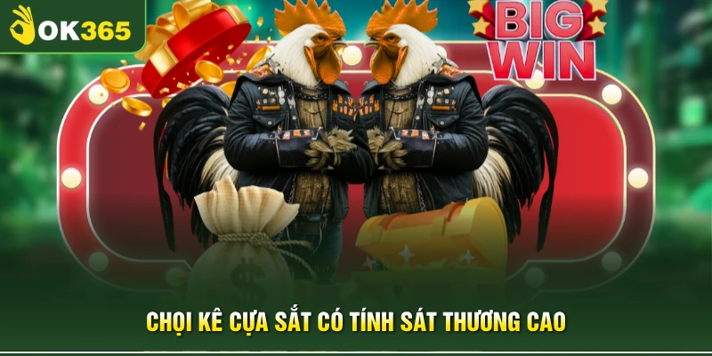 Chọi kê cựa sắt có tính sát thương cao