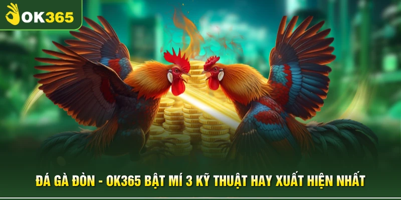 Đá Gà Đòn - OK365 Bật Mí 3 Kỹ Thuật Hay Xuất Hiện Nhất