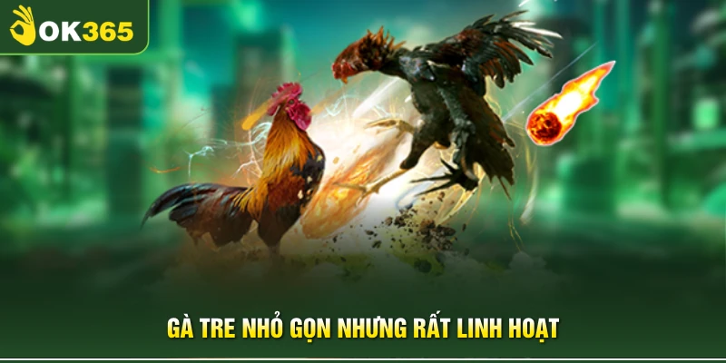 Gà tre nhỏ gọn nhưng rất linh hoạt 