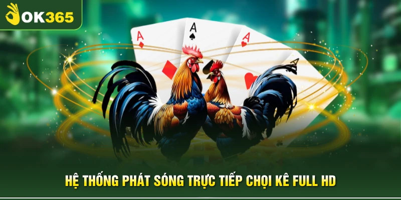 Hệ thống phát sóng trực tiếp chọi kê full HD