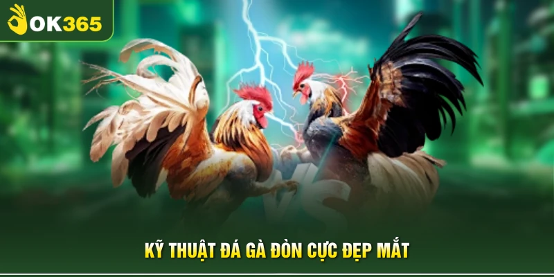 Kỹ thuật đá gà đòn cực đẹp mắt