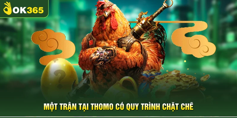Một trận tại Thomo có quy trình chặt chẽ