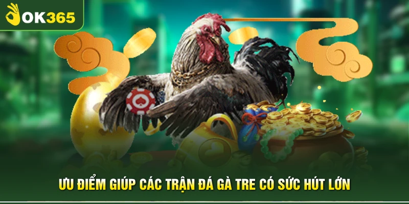 Ưu điểm giúp các trận đá gà tre có sức hút lớn